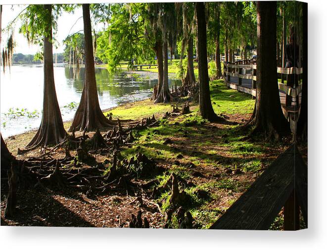 Lake Canvas Print featuring the photograph Cypress Knees 2 by Tom Baptist