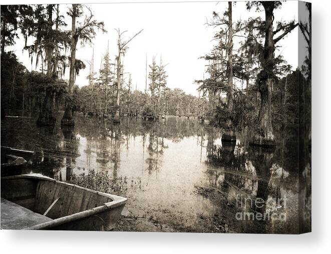 Swamp Canvas Print featuring the photograph Cypress Swamp -sepia by Scott Pellegrin