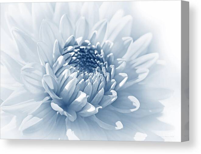 Dahlia Canvas Print featuring the photograph Dahlia Flower Soft Blue by Jennie Marie Schell