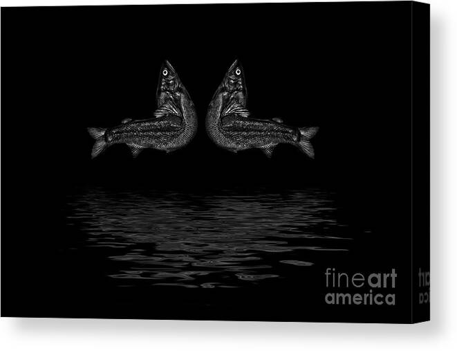 Dancing Fish Canvas Print featuring the photograph Dancing Fish At Night 2 by Evgeniy Lankin