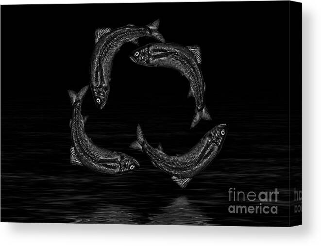 Dancing Fish Canvas Print featuring the photograph Dancing Fish At Night 7 by Evgeniy Lankin