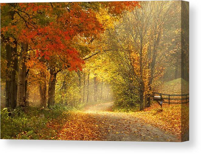 Autumn Canvas Print featuring the photograph Dancing Leaves by Magda Bognar