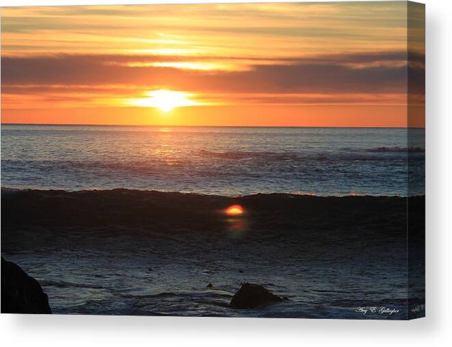 Sunset Canvas Print featuring the photograph Dancing With The Sun by Amy Gallagher