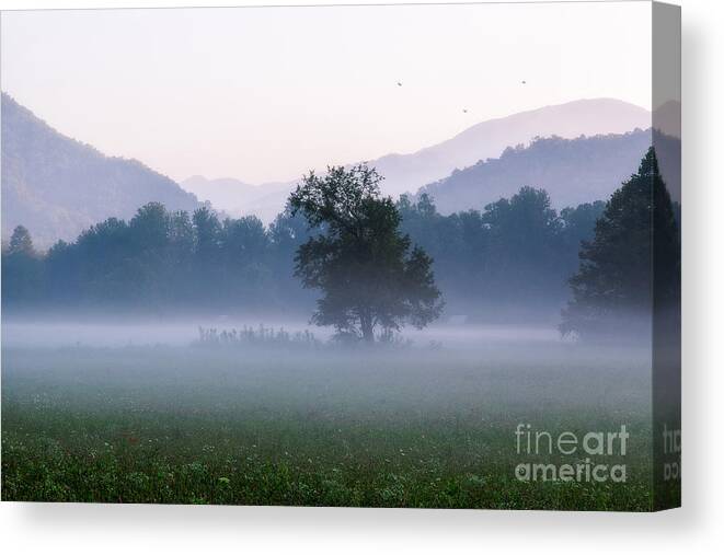 Fine Art Collection Work Canvas Print featuring the photograph Dawn In The Mountains by Deborah Scannell