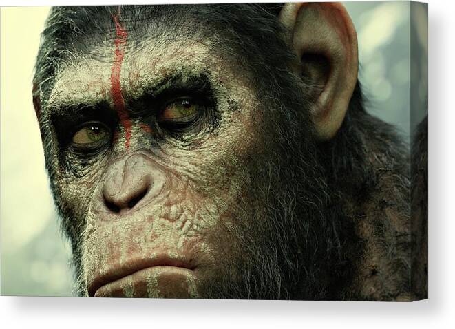 Apes Canvas Print featuring the photograph Dawn of the Planet of the Apes by Movie Poster Prints