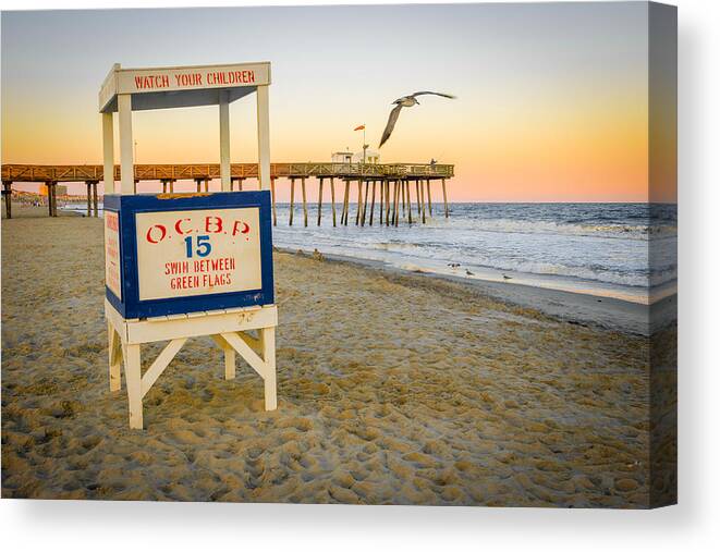 Photobomb Canvas Print featuring the photograph Days End by Mark Rogers