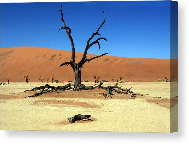 Africa Canvas Print featuring the photograph Dead Vlei Tree - Namibia by Aidan Moran