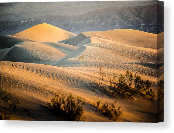 Sand Canvas Print featuring the photograph Death Valley Sand Dunes by Francesco Riccardo Iacomino