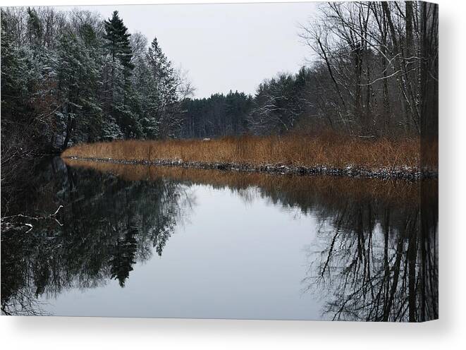 Trees Canvas Print featuring the photograph December Landscape by Luke Moore