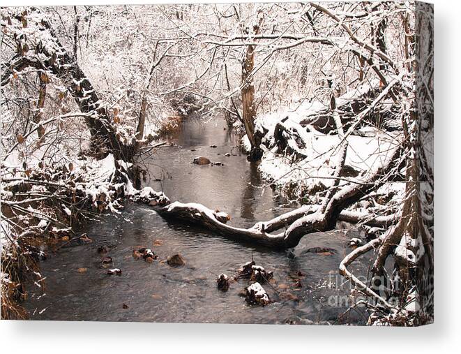 Winter Landscape Canvas Print featuring the photograph Deep Run In Winter by Chris Scroggins