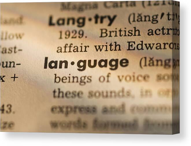 Focus Canvas Print featuring the photograph Definition of language in dictionary by Daniel Grill