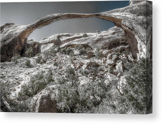 Utah Canvas Print featuring the photograph Delicate Stone by Richard Gehlbach