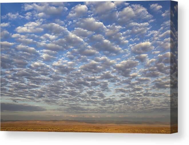 Vincent Grafhorst Canvas Print featuring the photograph Desert And Altocumulus Clouds Namib by Vincent Grafhorst