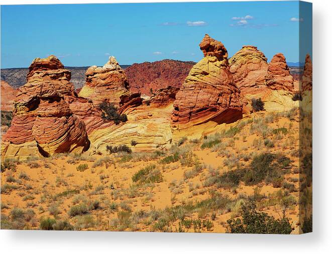 Scenics Canvas Print featuring the photograph Desert Landscape by Lucynakoch