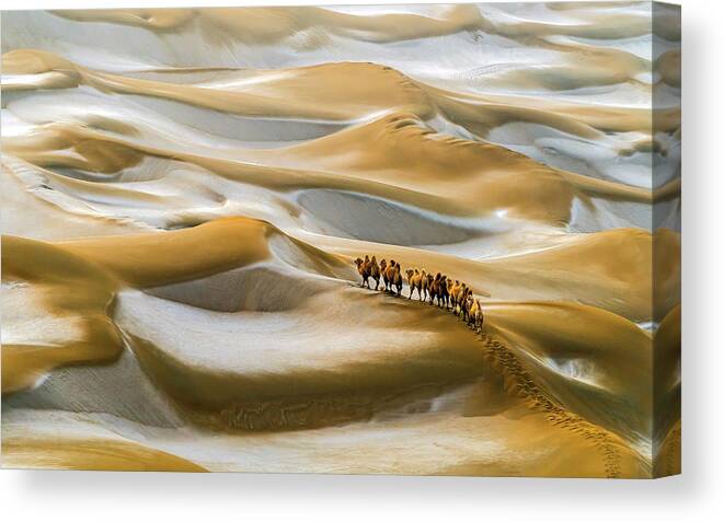Desert Canvas Print featuring the photograph Desert Winter by Hua Zhu