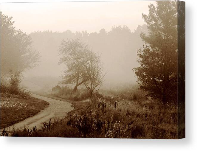 Tree Canvas Print featuring the photograph Desolation by Bruce Patrick Smith
