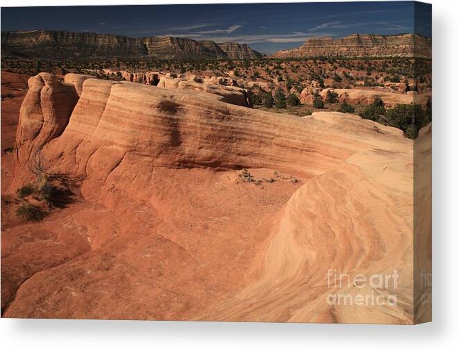 Devils Garden Canvas Print featuring the photograph Devils Garden Landscape by Adam Jewell