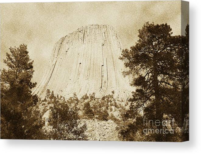 Travelpixpro Devils Tower Canvas Print featuring the digital art Devils Tower National Monument Between Trees Wyoming USA Vintage by Shawn O'Brien