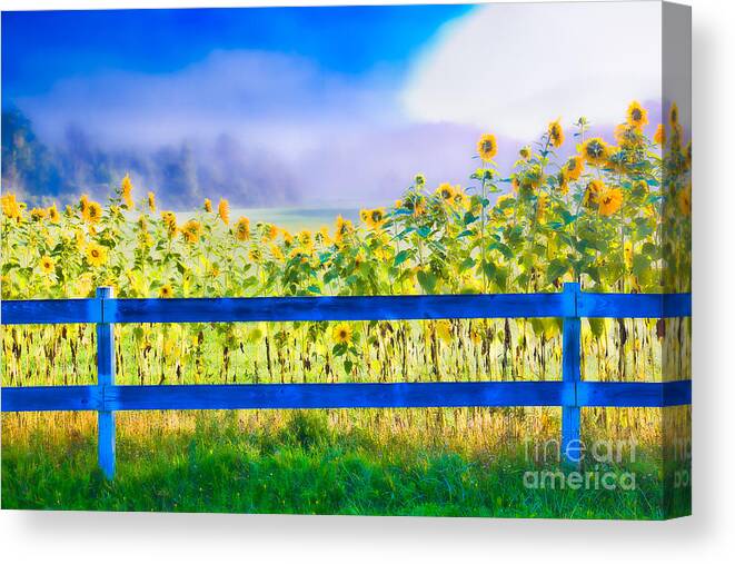 New England Canvas Print featuring the photograph Digitally enhanced image of sunflowers Stowe Vermont USA by Don Landwehrle