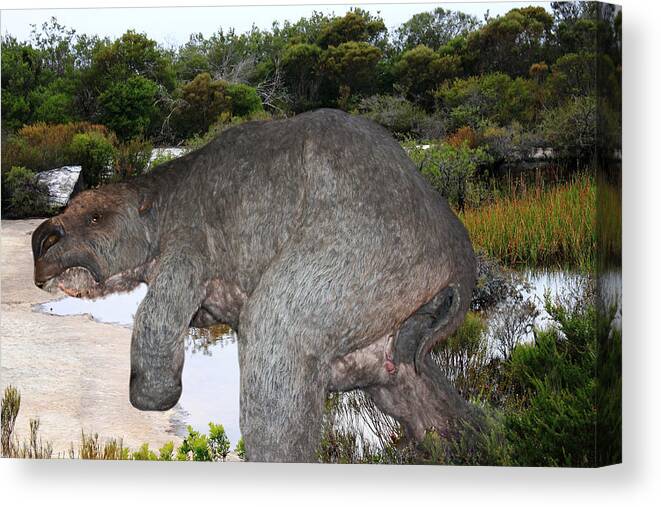 Diprotodon Canvas Print featuring the photograph Diprotodon by Miroslava Jurcik