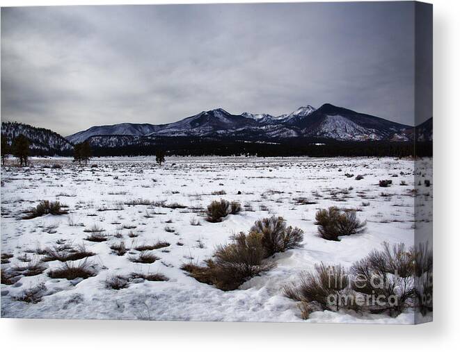 Road Canvas Print featuring the photograph Distant-San Francisco Peaks V2 by Douglas Barnard
