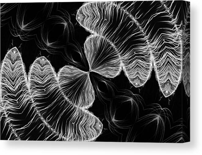 Black And White Canvas Print featuring the photograph Division by Kristin Elmquist