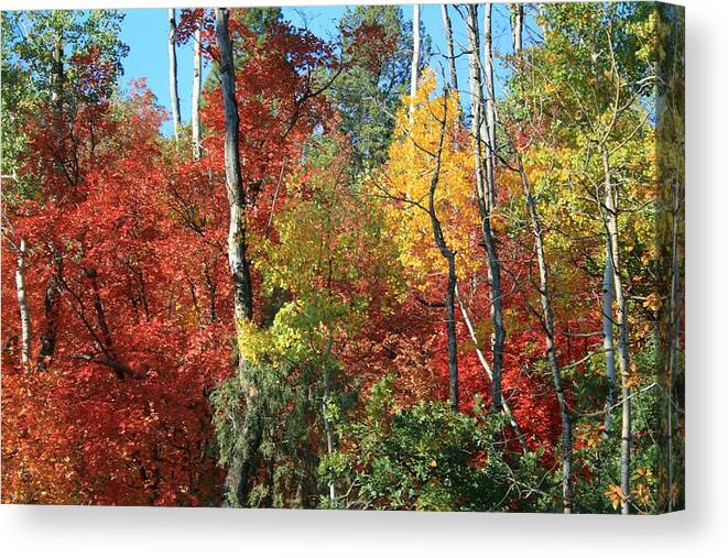 Landscapes Canvas Print featuring the photograph Dixie Autumn by Douglas Miller
