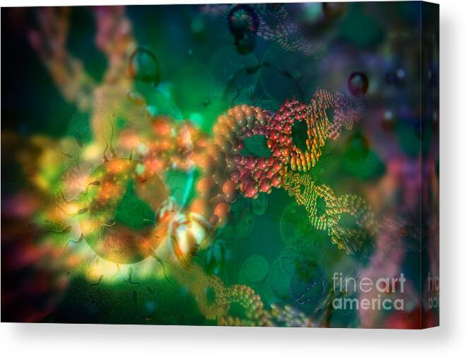 Dna Canvas Print featuring the photograph Dna Egg And Sperm by Mike Agliolo