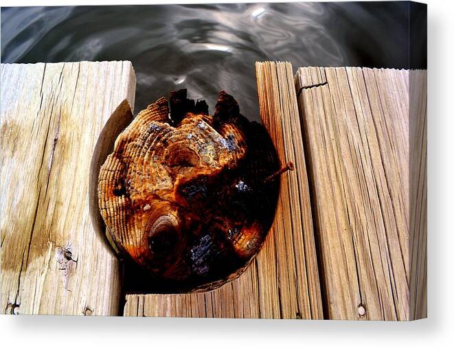 Landscape Canvas Print featuring the photograph Dock by Tamara Michael