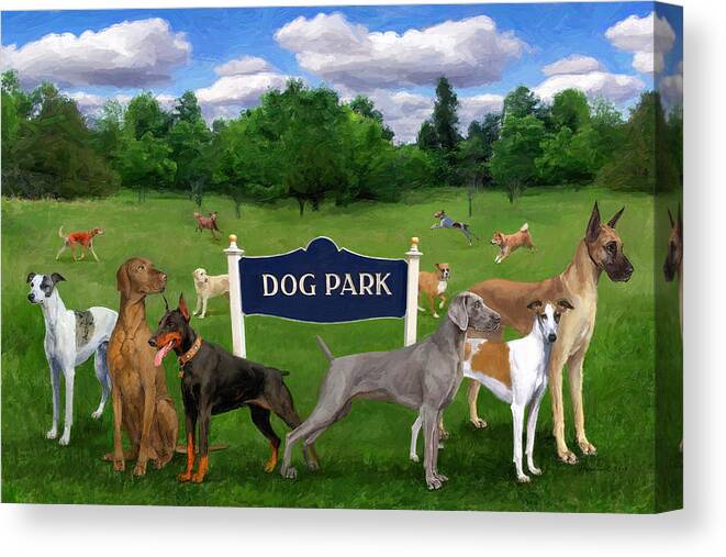 Dog Canvas Print featuring the painting Dog Park by Frank Harris