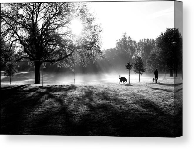 Monochrome Mist Dog Walking Dog-walk Winter Sunshine Cold Frost Canvas Print featuring the photograph Dog Walk in the Mist by Paul Salmon
