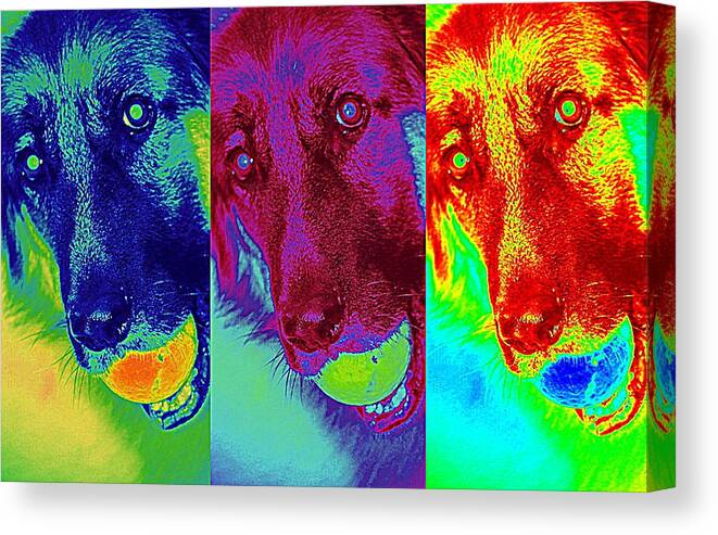 Multi Color Canvas Print featuring the photograph Doggy Doggy Doggy by Cathy Shiflett