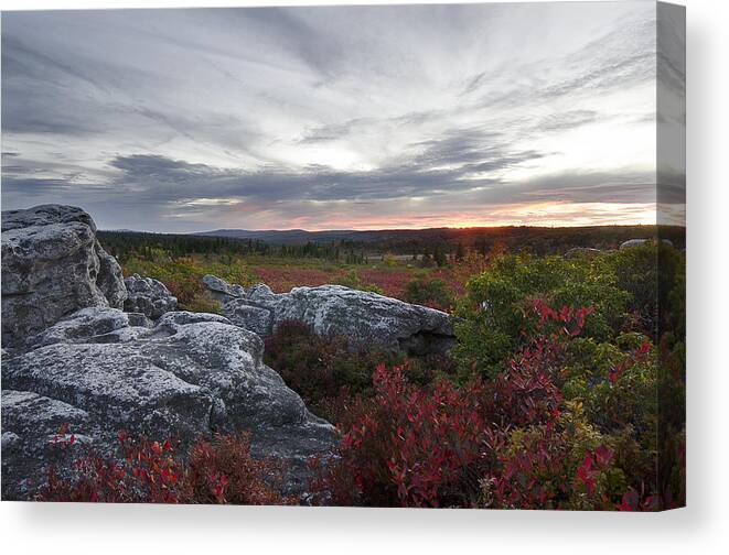 Dolly Sods Canvas Print featuring the photograph Dolly Sods Sunset by Michael Donahue