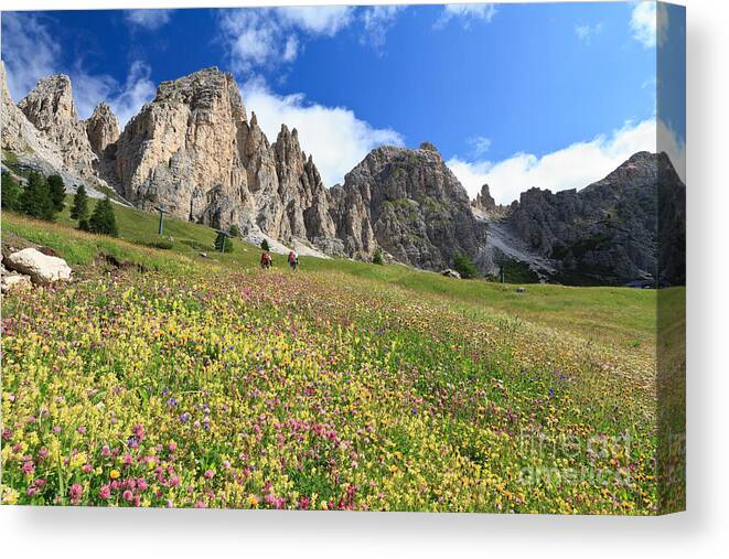 Alpine Canvas Print featuring the photograph Dolomiti - hike in Gardena pass by Antonio Scarpi