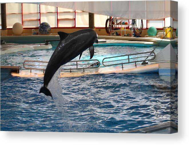 Inner Canvas Print featuring the photograph Dolphin Show - National Aquarium in Baltimore MD - 1212212 by DC Photographer