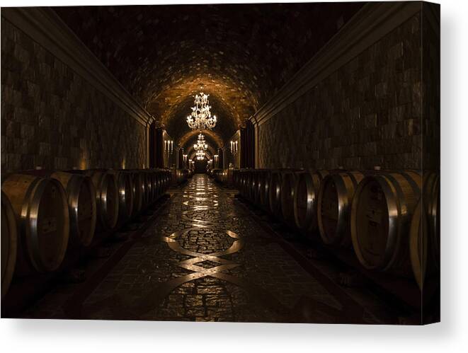 Napa Valley Canvas Print featuring the photograph Dotto by Dan Hefle