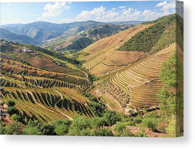 Scenics Canvas Print featuring the photograph Douro River Vineyards, Portugal by Rusm