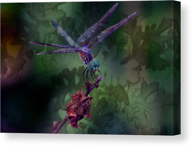 Blue Dasher Canvas Print featuring the photograph Dragonfly 4 by Lesa Fine by Lesa Fine