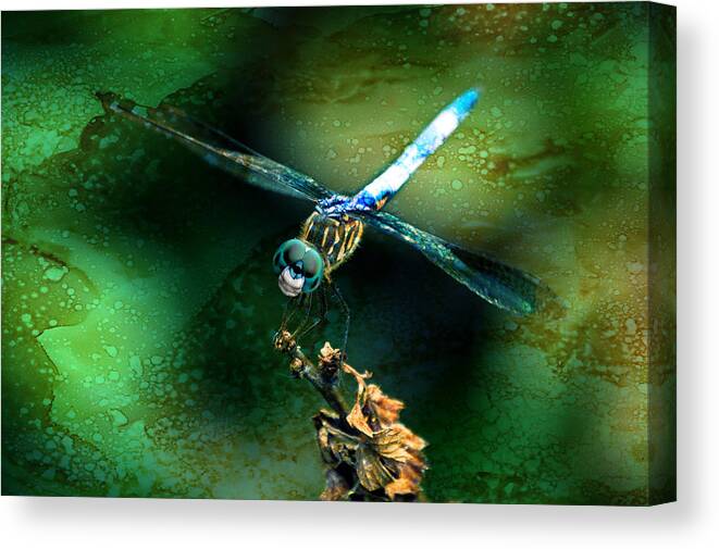 Dragonfly Canvas Print featuring the mixed media Dragonfly Art by Lesa Fine by Lesa Fine