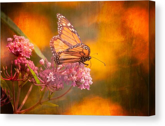 Salem Canvas Print featuring the photograph Dream Gatherer by Jeff Folger