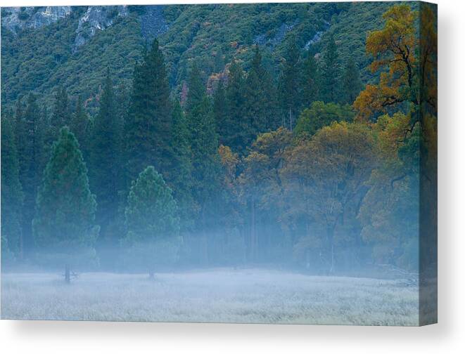 Nature Canvas Print featuring the photograph Dream by Jonathan Nguyen