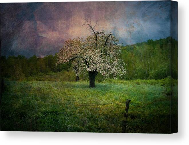 Image By Jeff Folger Canvas Print featuring the photograph Dream of Spring by Jeff Folger
