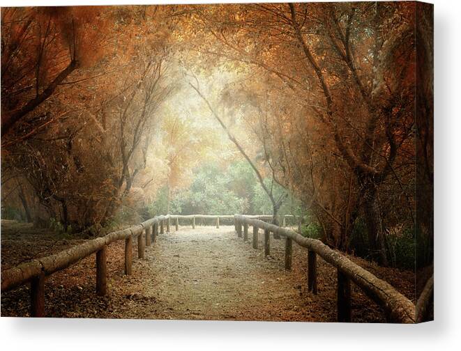 Tranquility Canvas Print featuring the photograph Dreamy Pathway In Autmnal Colours by Zu Sanchez Photography