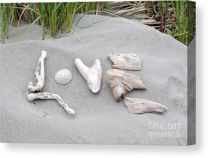 Driftwood Canvas Print featuring the photograph Driftwood Love by Sarah Schroder