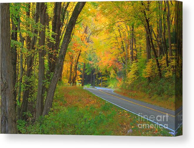 Drive Canvas Print featuring the photograph Driving into Fall by Geraldine DeBoer