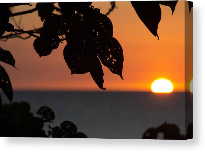 Dry Season Sunset Canvas Print featuring the photograph Dry Season Sunset by Douglas Barnard