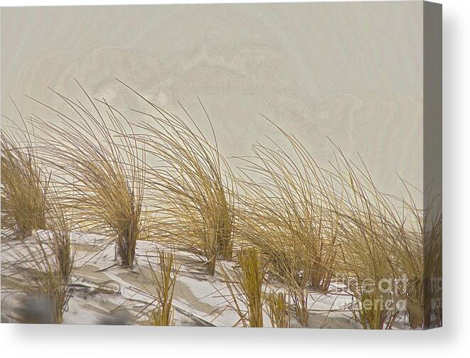 Dune Canvas Print featuring the photograph Dune Wisps by Scott Evers