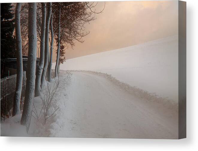Dusk Canvas Print featuring the photograph Dusk at the Edge of the Forest by Dorit Fuhg