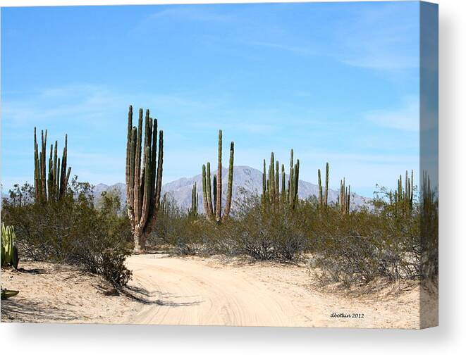 Mexico Canvas Print featuring the photograph Dusty Road by Dick Botkin