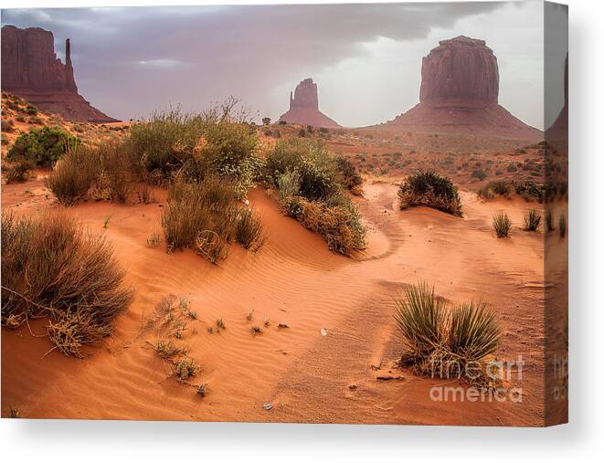Utah Canvas Print featuring the photograph Dusty Trails by Jim Garrison